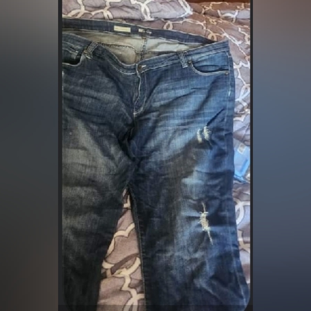 Kut from kloth jeans